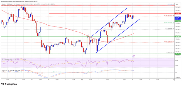 比特币（BTC）强势回归！价格反弹背后竟藏惊人真相！