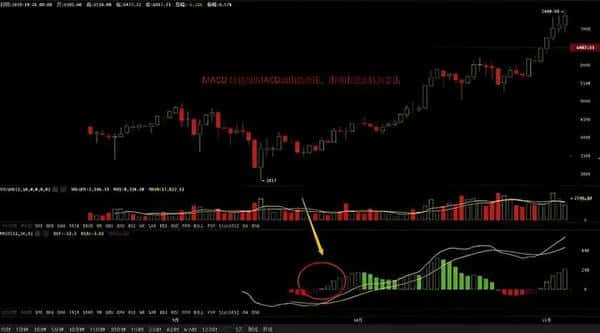 币圈新手必看秘籍：高手蜕变的第一步，掌握后几乎稳赚不赔！