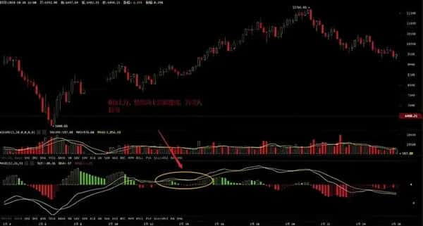 币圈新手必看秘籍：高手蜕变的第一步，掌握后几乎稳赚不赔！