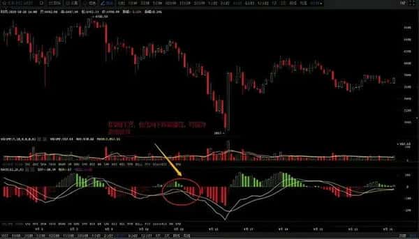 币圈新手必看秘籍：高手蜕变的第一步，掌握后几乎稳赚不赔！