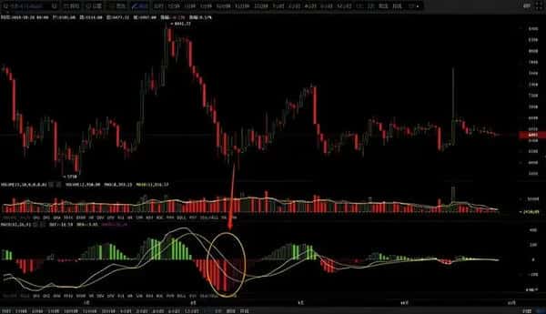 币圈新手必看秘籍：高手蜕变的第一步，掌握后几乎稳赚不赔！