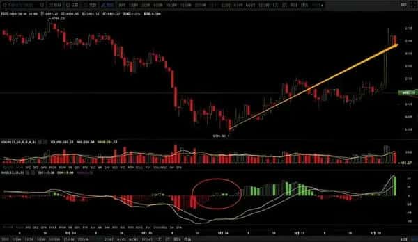 币圈新手必看秘籍：高手蜕变的第一步，掌握后几乎稳赚不赔！