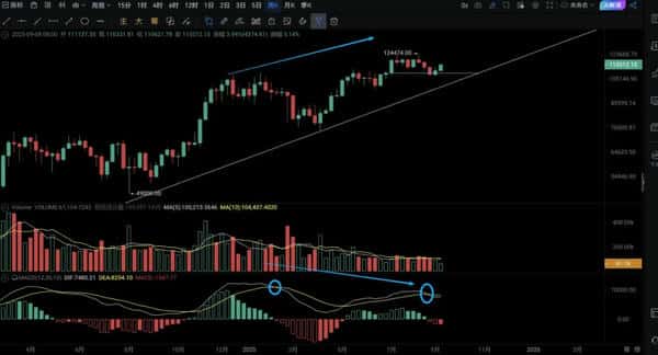 牛市巅峰：比特币12万美金，币圈真的见顶了吗？
