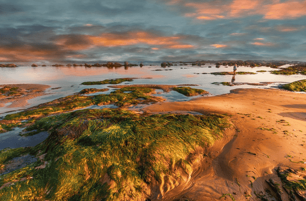 10月9日比特币行情:掌握市场脉搏至关重要!