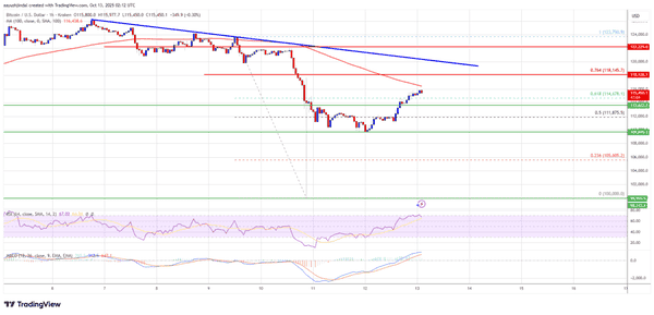 比特币116000美元生死线！SOL冲300遭MUTM抢风头，TRX守住0.30美元待救援！