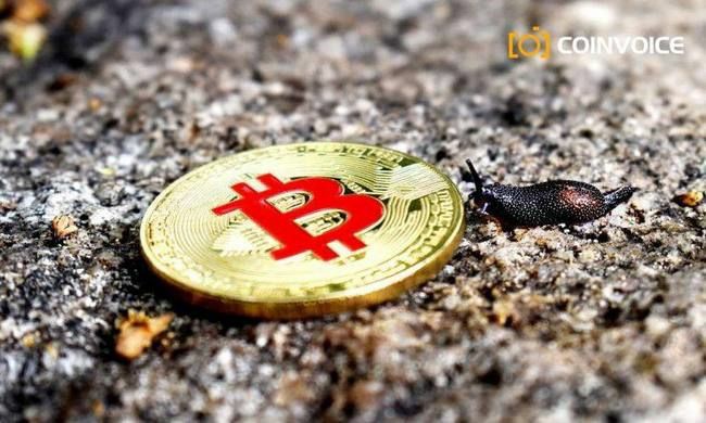 柴犬币 (SHIB) 价格预测:未来五年或突破0.0001美元