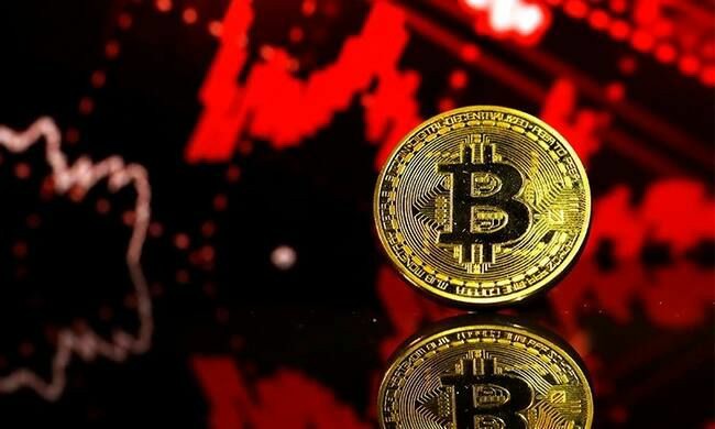 DOGS币泡沫揭秘：从狂热到崩溃，散户如何被吞噬