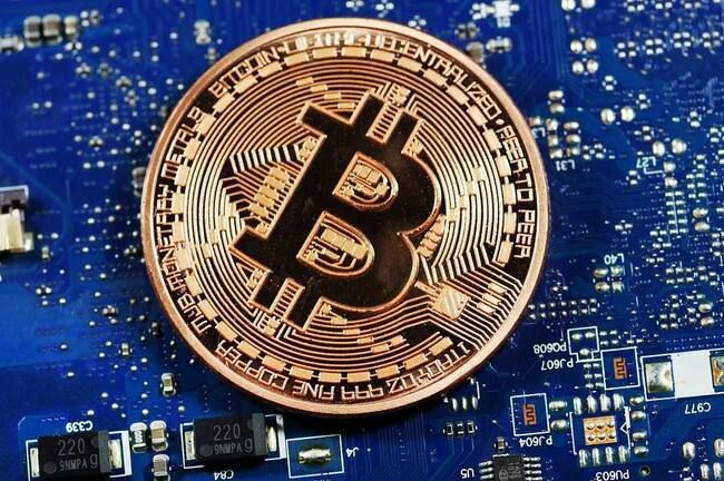 2024年山寨币投资潜力榜单:佩佩币、狗帽币和青蛙币