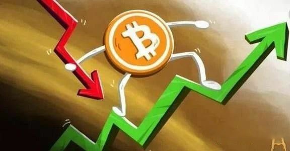 机构与散户：信息优势与决策差异解析