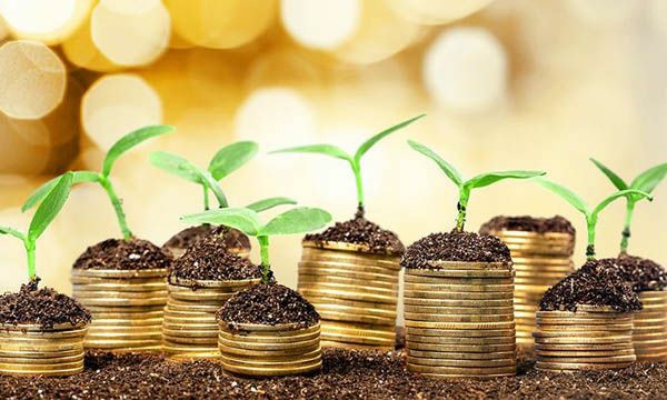 2025年加密市场三大潜力币种推荐及操作策略