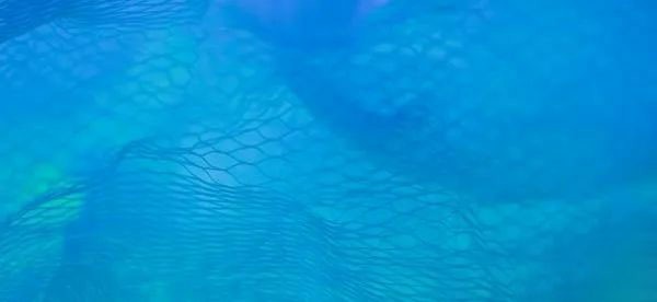 大选后山寨币潜力爆发：DOGE、SEI、PEOPLE或起飞