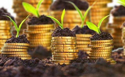 DOGE遇阻力回调，大持有者情绪复杂