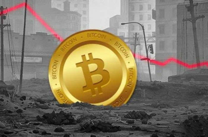 三大潜力币种展现牛市希望：DOGE、ZRO和LINK