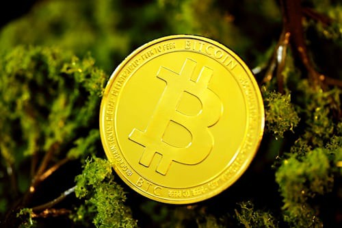 2025年加密市场展望：这些加密货币有望冲击千亿市值大关