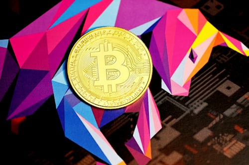 牛市规律：比特币领航，山寨币后期爆发，选准目标耐心等待