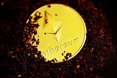 山寨币暴富的真相