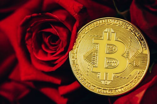 Bella AI 2.0助力加密交易,稳稳赚钱新时代