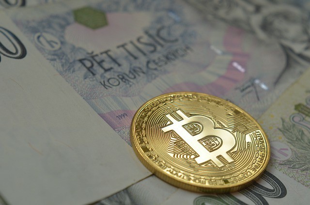 CZ晒宠物狗引发迷因币热潮,Broccoli同名币泛滥市场