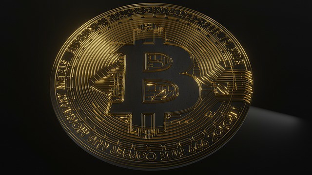 SHIB未来展望:1000美元变10000美元的投资可能?