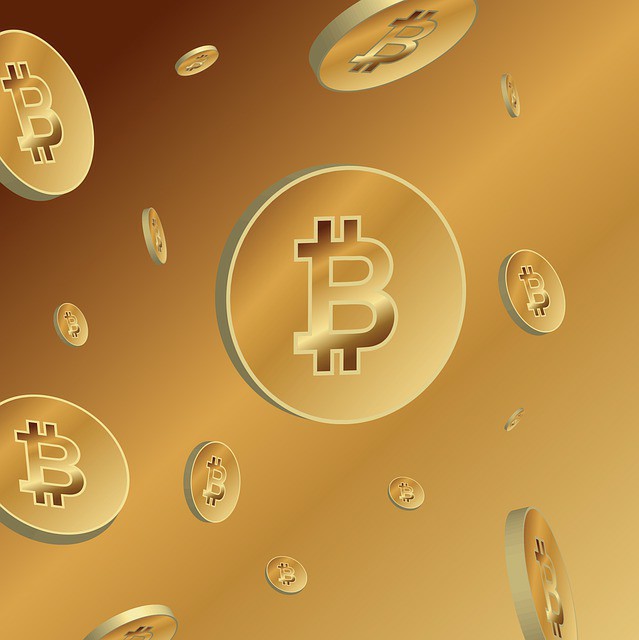 美国大选开票日：川普领先，马斯克助迷因币DMAGA暴涨