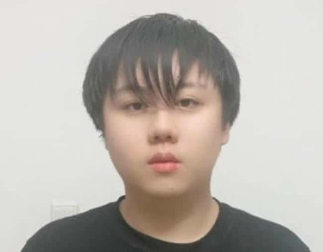 币圈传奇凉兮:从巅峰到陨落的跌宕人生