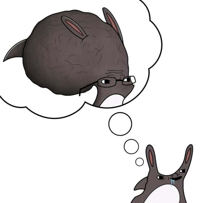 为何 Binance 的上币难题注定难以避免？